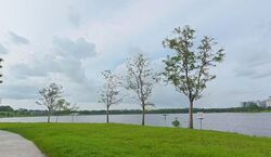 Waterfront Isle (D16), Condominium #524892101